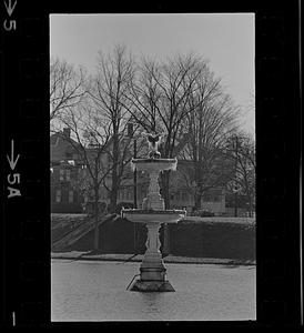 Fountain in Frog Pond at Bartlet Mall