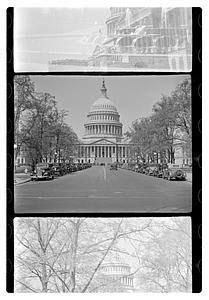 U.S. Capitol, Washington D.C.