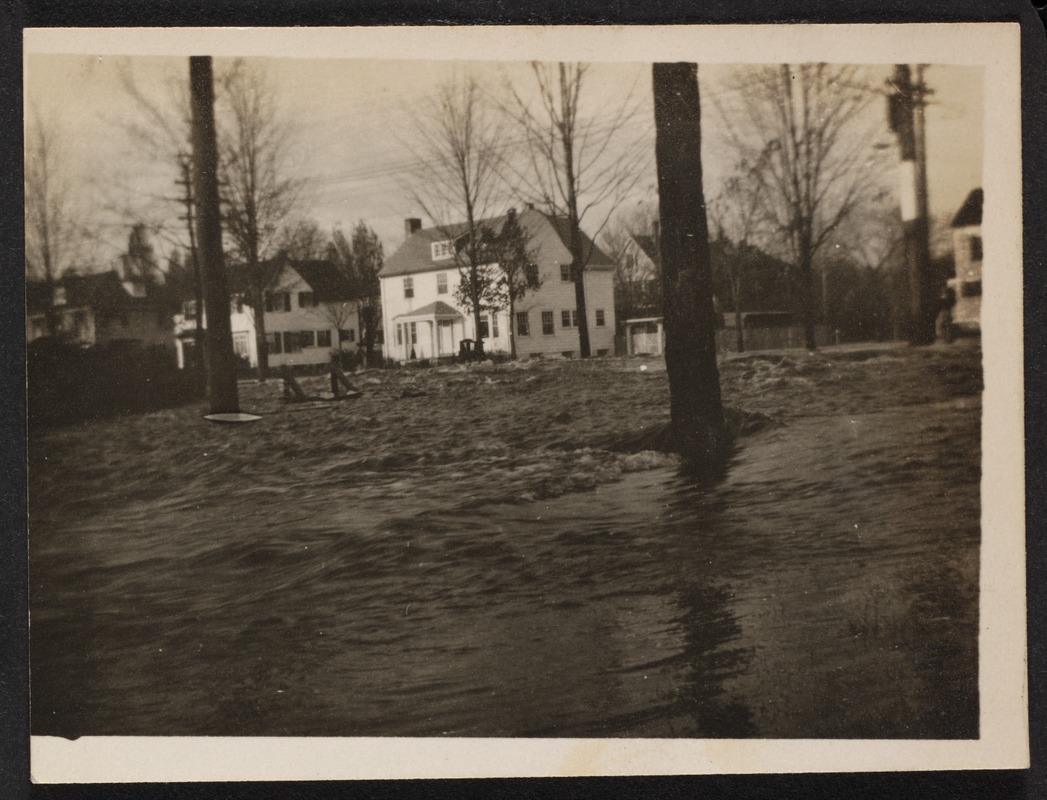 Villages of Newton, MA. Auburndale. Flood, Comm Ave & Auburndale St.