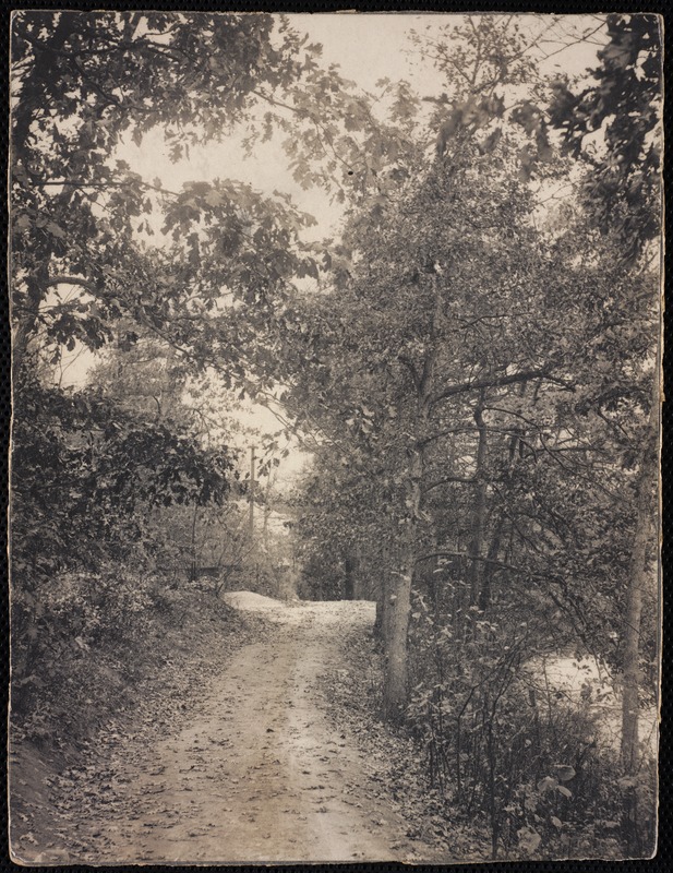 Villages of Newton, MA. Auburndale. Wood path, Weston Br., Auburndale