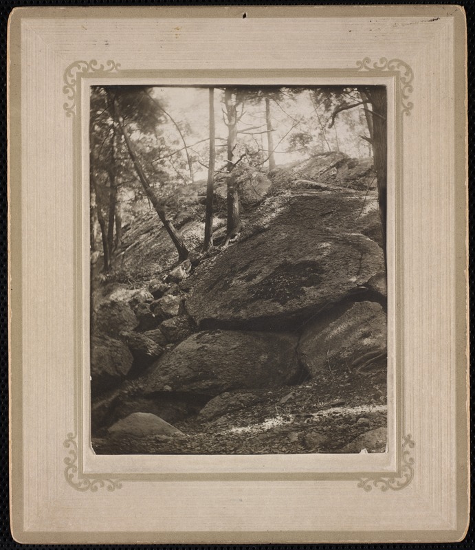 Villages of Newton, MA. Chestnut Hill. Granite ledge, near Hammond Pond, Chestnut Hill