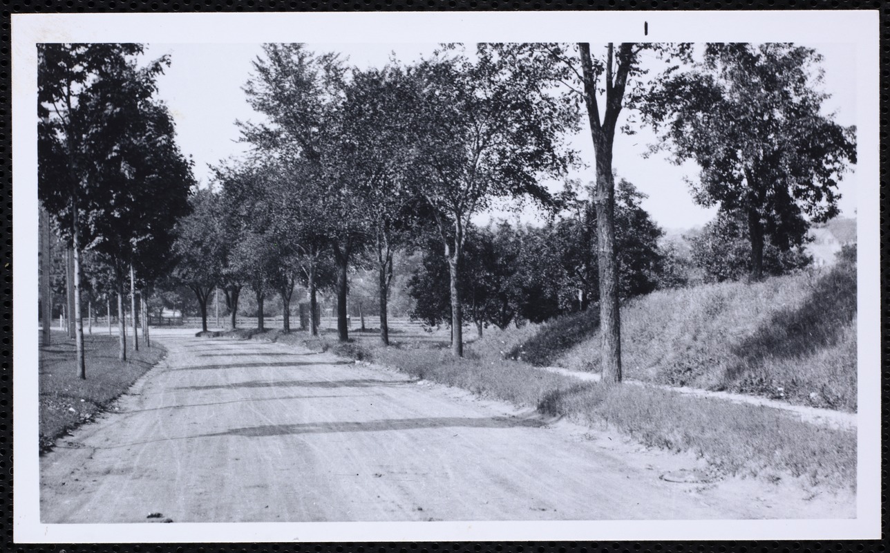 Villages of Newton, MA. Newton Centre. Comm Ave near Grant, Newton Centre