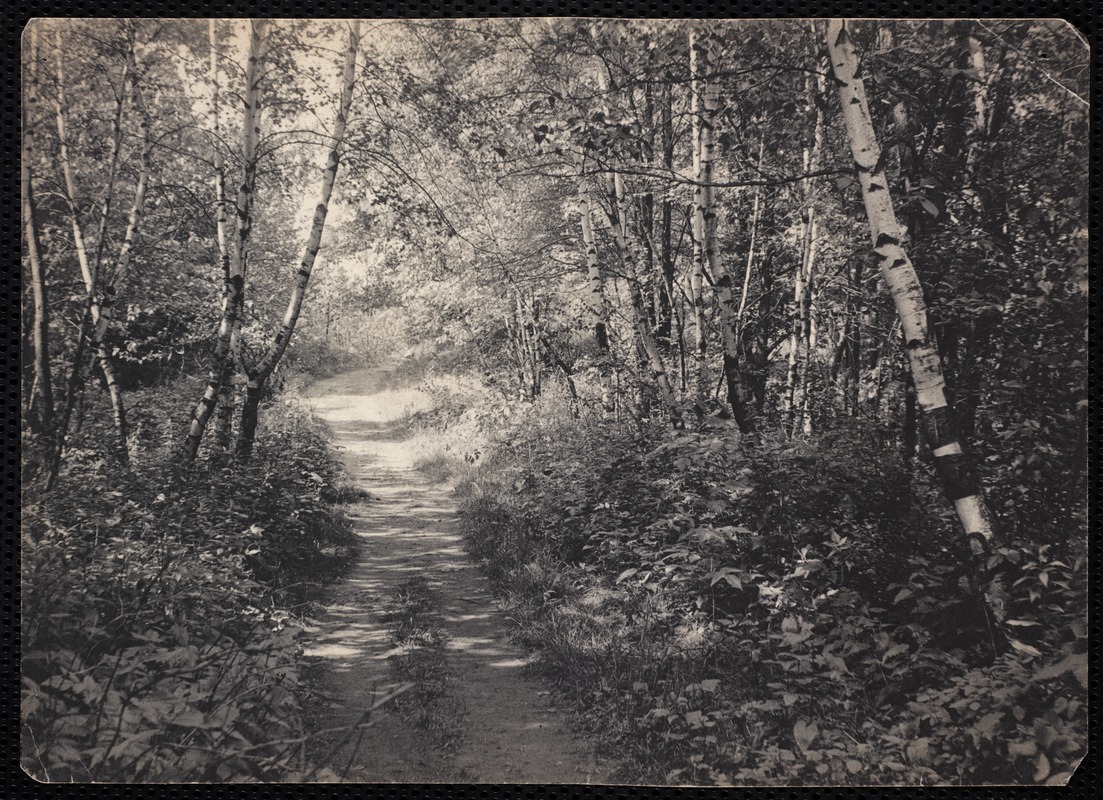 Villages of Newton, MA. Newton Centre. Original path, Ridge Ave, Newton Centre