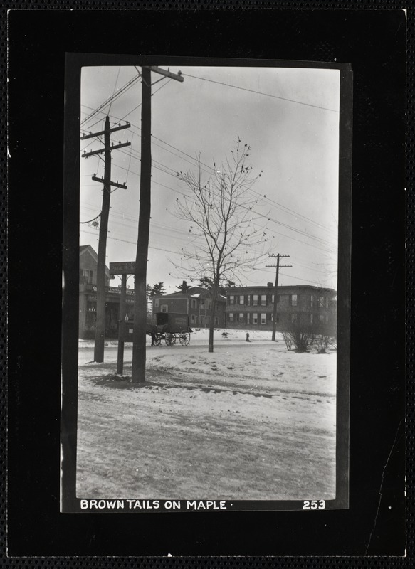 Villages of Newton, MA. Newtonville. View from Page Rd toward Watertown