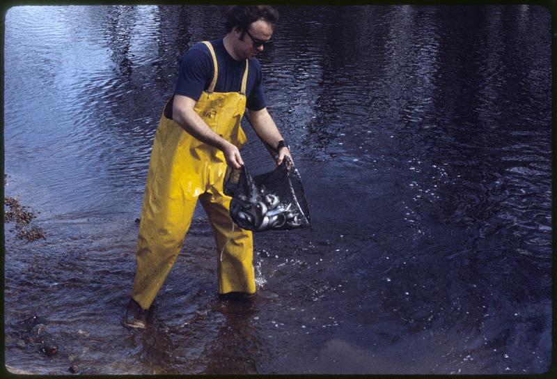 Stocking Pacific Coast "Coho" Salmon