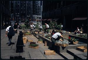 Gardeners working with boxes of flowers in Rockefeller Center Lower Plaza, Manhattan, New York
