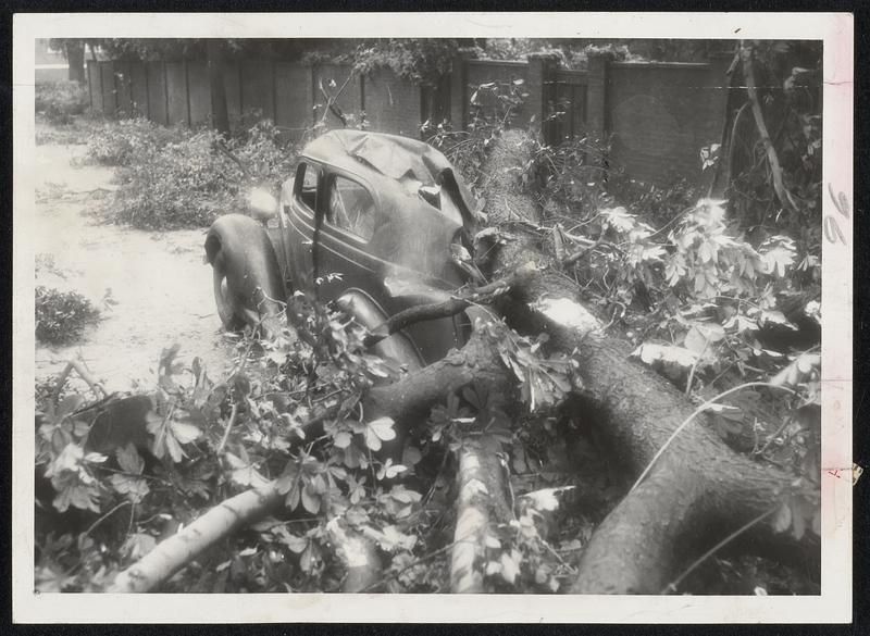 Trapped In This Car for 45 Minutes, Thomas W. Cameron, Jr., 22, of 10 Williams St., Danvers, was taken to the Salem Hospital with his pelvis bone broken in three places. Firemen, police and utility repair crews worked to rescue him from his car, pinned under a tree at Flint and Chestnut streets, Salem.