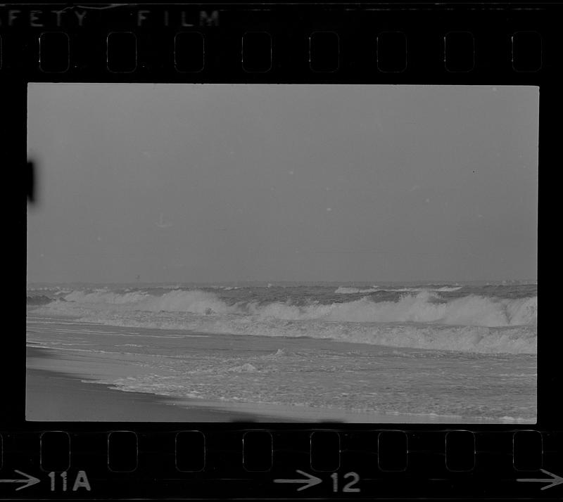 Plum Island winter beach