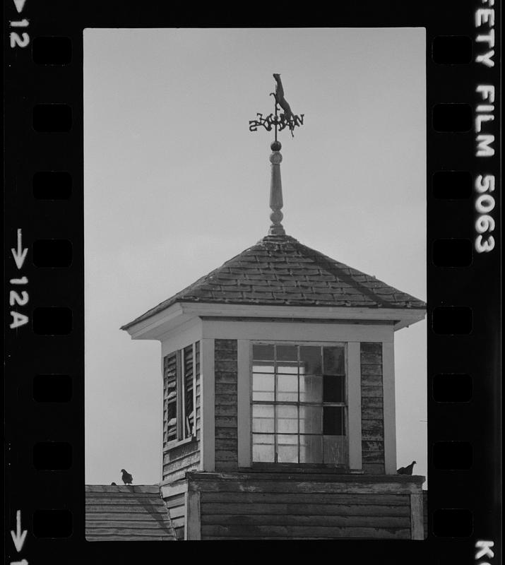 Plum Island houses Digital Commonwealth