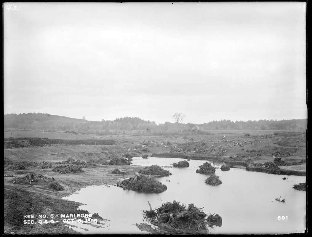 Sudbury Reservoir, run in Sections O and Q, showing stumps piled tom be burned, from the south on knoll covered with trees, Marlborough, Mass., Oct. 8, 1896