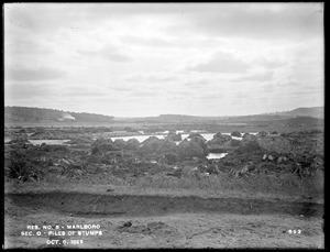 Sudbury Reservoir, piles of stumps in Section O, west of Howe Brothers, from the north, Marlborough, Mass., Oct. 8, 1896