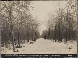 Wachusett Reservoir, Fire Line, new interior cart road, Boylston, Mass., Feb. 7, 1903