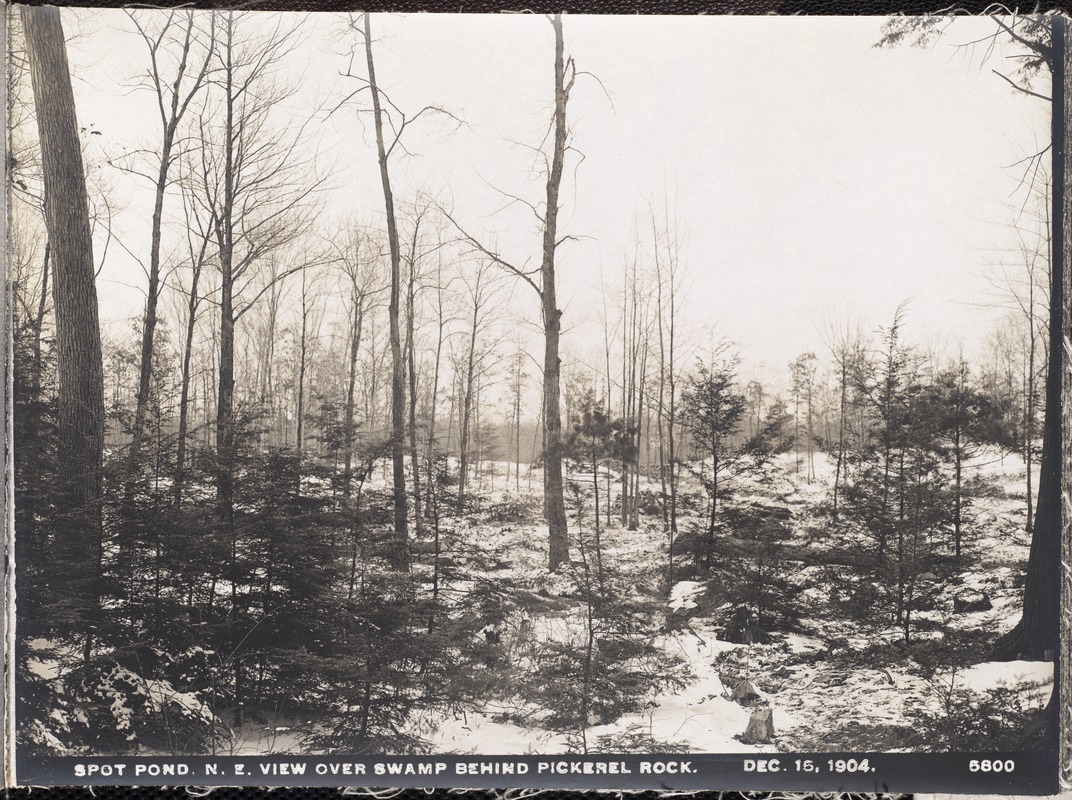 Distribution Department, Low Service Spot Pond Reservoir, northeasterly view over swamp behind Pickerel Rock, Stoneham, Mass., Dec. 15, 1904
