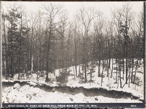 Distribution Department, Low Service Spot Pond Reservoir, northerly part of Deer Hill from Main Street, Stoneham, Mass., Dec. 15, 1904