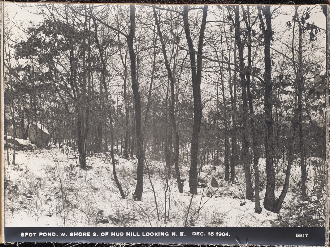 Distribution Department, Low Service Spot Pond Reservoir, westerly shore south of Hub Hill looking northeasterly, Stoneham, Mass., Dec. 15, 1904