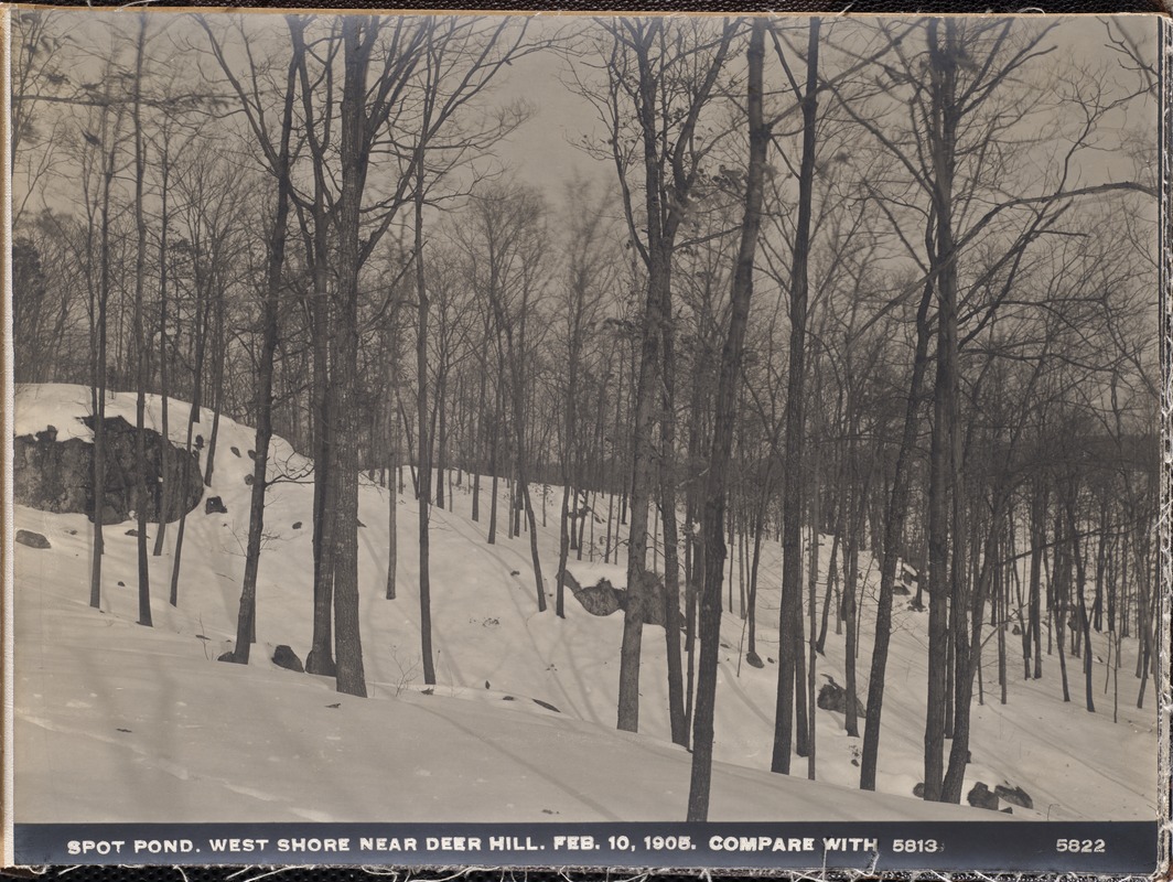 Distribution Department, Low Service Spot Pond Reservoir, westerly shore of Deer Hill (compare with No. 5813), Stoneham, Mass., Feb. 10, 1905