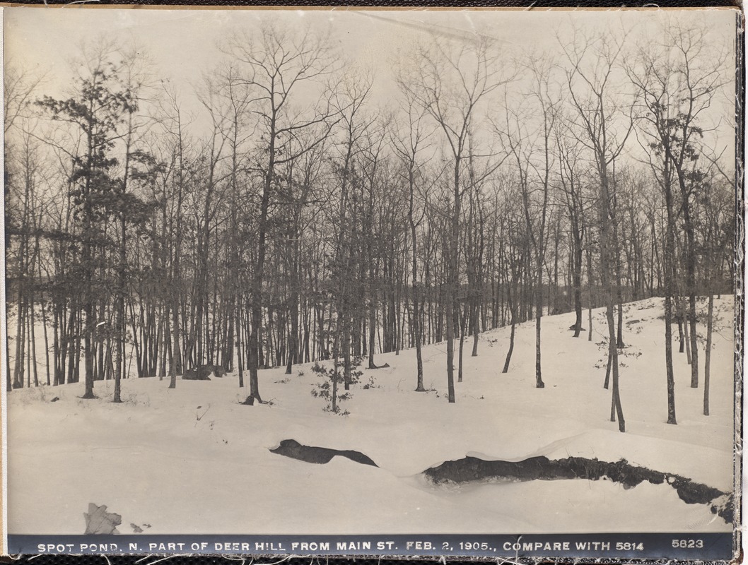 Distribution Department, Low Service Spot Pond Reservoir, northerly part of Deer Hill from Main Street (compare with No. 5814), Stoneham, Mass., Feb. 2, 1905