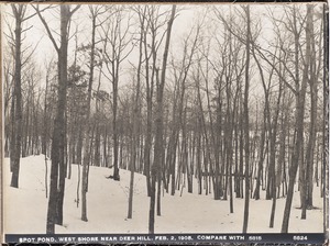 Distribution Department, Low Service Spot Pond Reservoir, westerly shore near Deer Hill (compare with No. 5815), Stoneham, Mass., Feb. 2, 1905