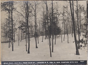 Distribution Department, Low Service Spot Pond Reservoir, Hub Hill from Main Street, looking northeasterly (compare with No. 5818), Stoneham, Mass., Feb. 10, 1905