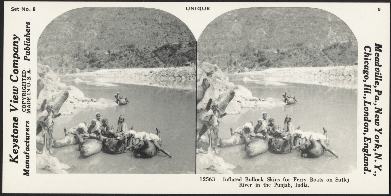 Inflated bullock skins for ferry boats on Sutlej River in the Punjab, India