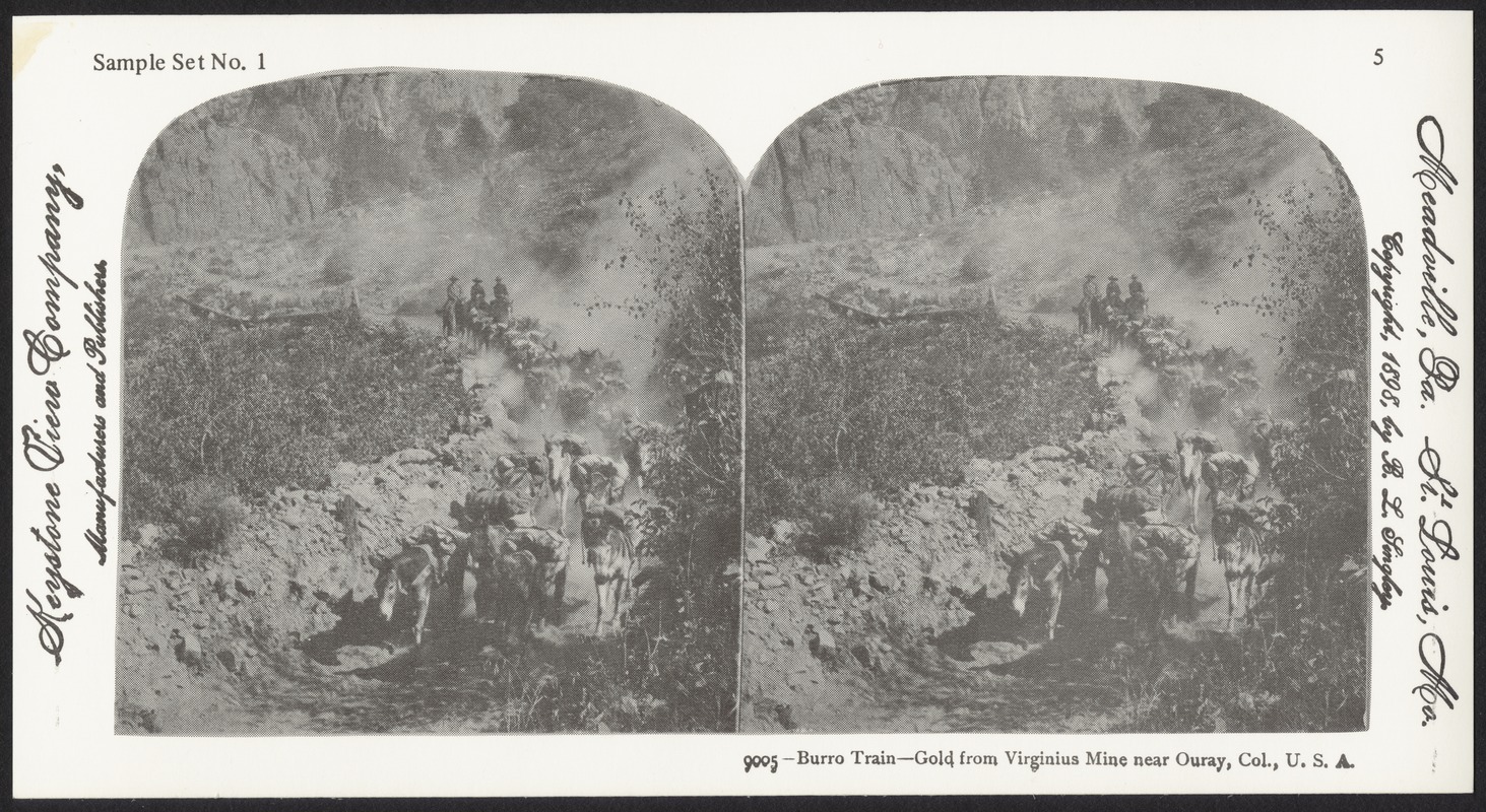 Burro train - gold from Virginia Mine near Ouray, Col., U.S.A.