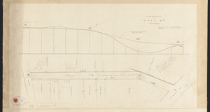 Plan and profile of Hall St. Lawrence Mass.