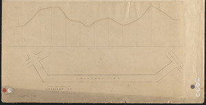 Plan and profile of Crescent St., Lawrence, Mass.