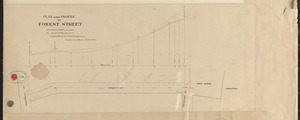 Plan and profile of Forest Street