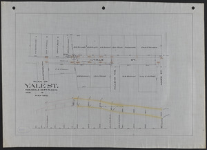 Plan of Yale St.