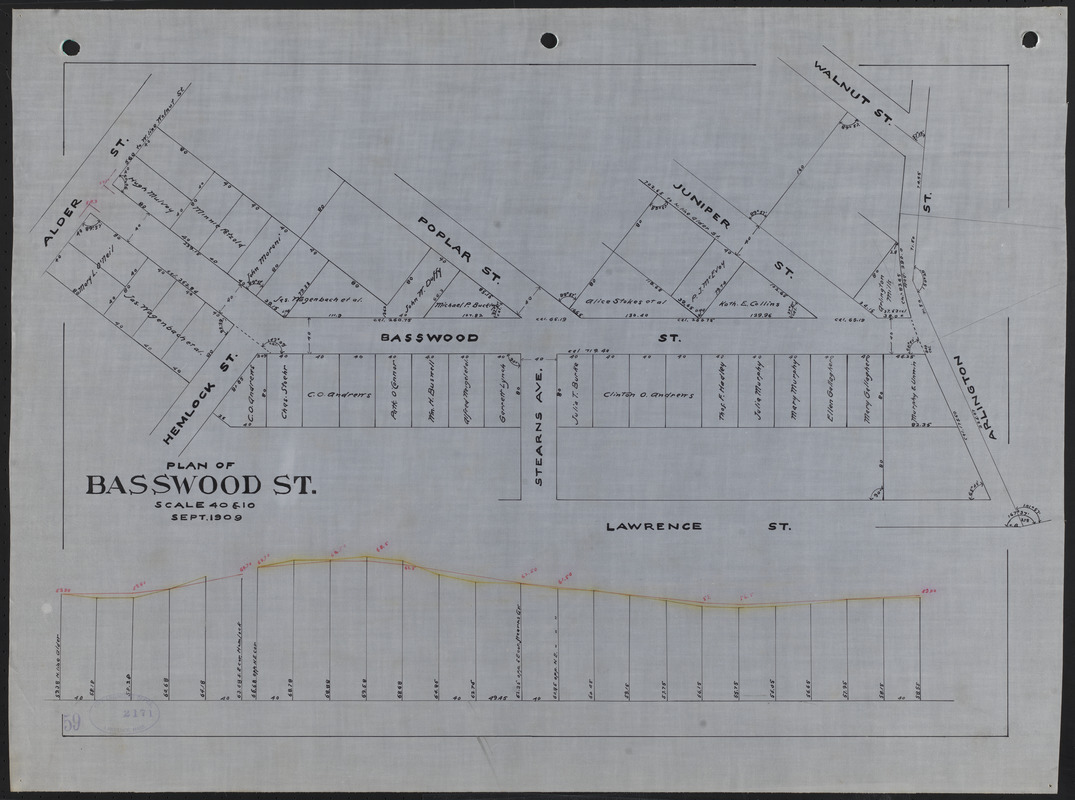 Plan of Basswood St.