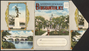 Souvenir view book Binghamton, N.Y.
