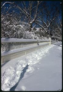 Snow-covered road next to fence, houses, and trees