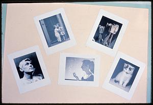 Display of five black-and-white photographs of people, tulips, and a kitten