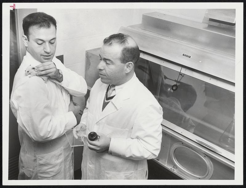 Crawling on Shoulder of Dr. Richard Adams (far left) is hamster to be used in research in new $500,000 Jimmy Fund laboratories on Brookline Ave. Standing by is Dr. Alfred Handler.