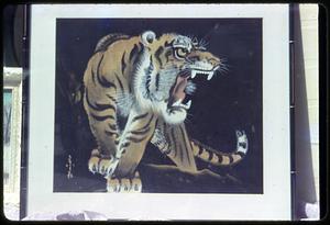 Picture of a tiger