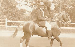 A gentlemen on his horse