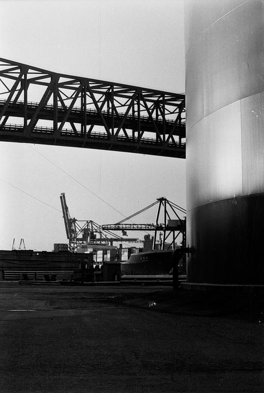 Bridge and gantry cranes