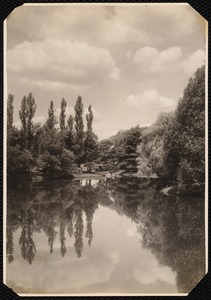 Erskine Park: pond