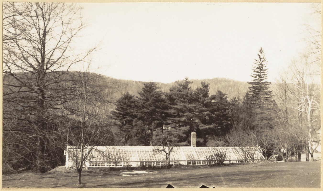 Ethelwyn: greenhouses, east elevation