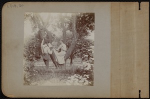 Two women in a tree playing music with a standing man
