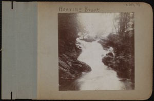 Roaring Brook