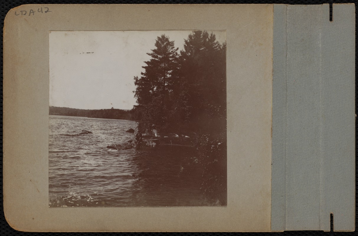 Man sitting on rocks by the water and trees