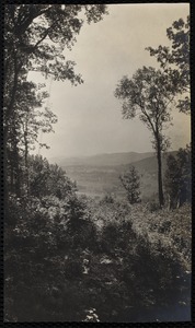 Woolsey Woods: vista of Lenox valley