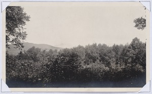 Mt Greylock from Woolsey woods