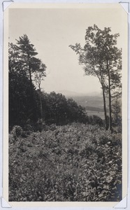 Lenox valley from hill in Woolsey Woods