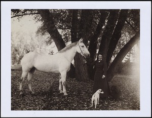 Miss Kate Cary: with horse & dogs