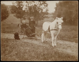 Miss Kate Cary: woman in horse-drawn wheelchair with Kate Cary & small dog