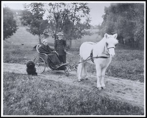 Miss Kate Cary: woman in horse-drawn wheelchair with Kate Cary & small dog