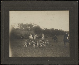 Horsing event: men on horseback and with a group of hunting dogs