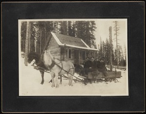 Two horses pulling four people on a sled